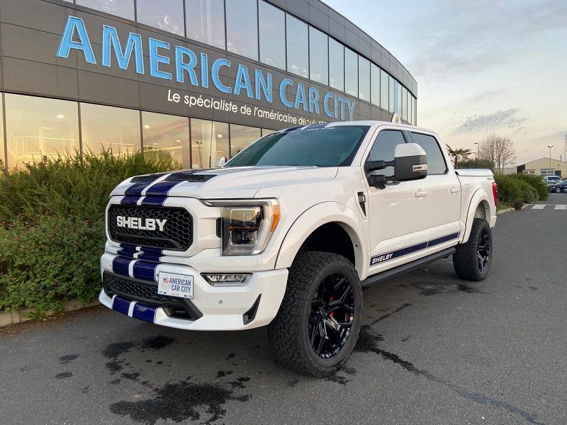 Ford F150 Shelby For Sale