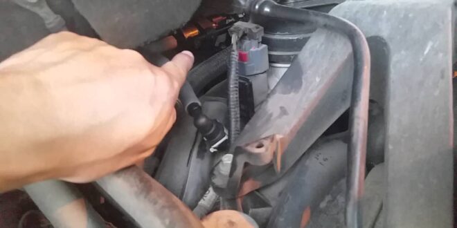 Ford F150 Evap Canister Location