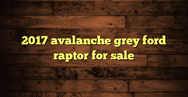 2017 avalanche grey ford raptor for sale