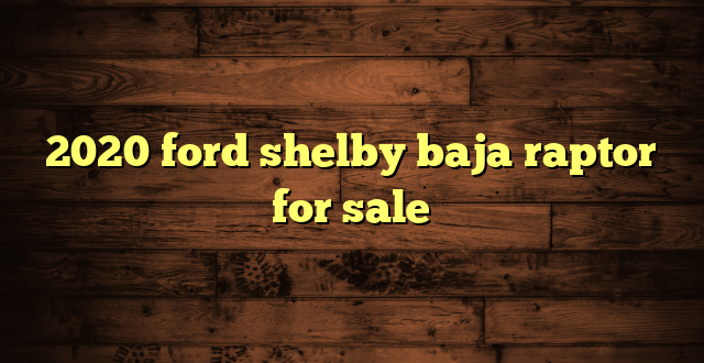2020 ford shelby baja raptor for sale