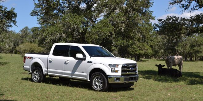 Ford F150 5.0 HP