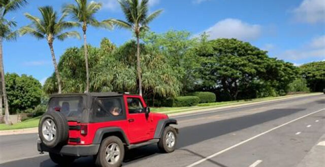 Maui Jeep Rental Reviews for Your Trip